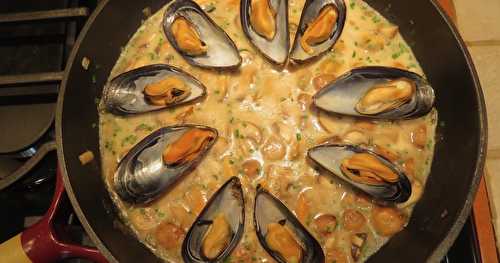 Moules à la bière, sauce crémeuse aux champignons + 