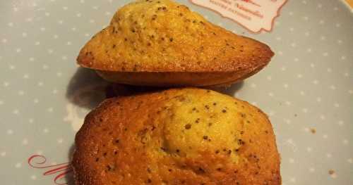 Madeleines au citron et aux graines de pavot