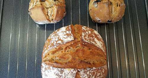 Pain de seigle au levain et petits pains de seigle au levain et aux raisins