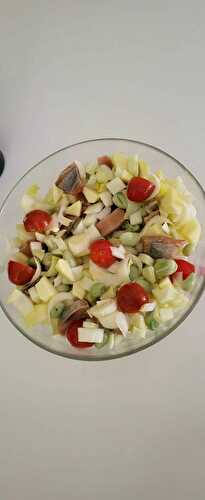 Salade norvégienne ww