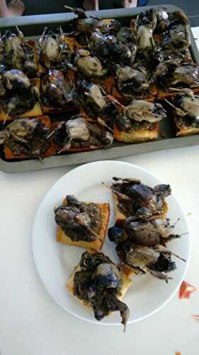 Tartines de grives