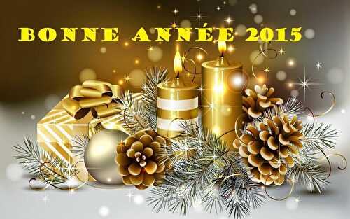 BONNE ANNEE 2015