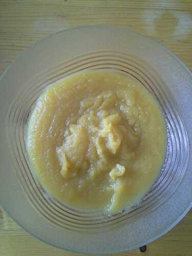 Compote de pommes au miel (thermomix) - La cuisine de Nenette