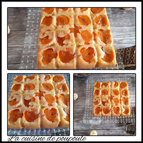 Gâteau aux abricots au thermomix ou sans