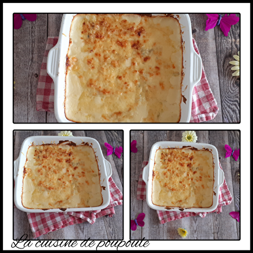 Gratin de blettes