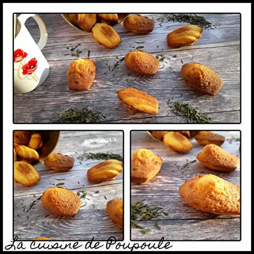 Madeleines de Lenôtre