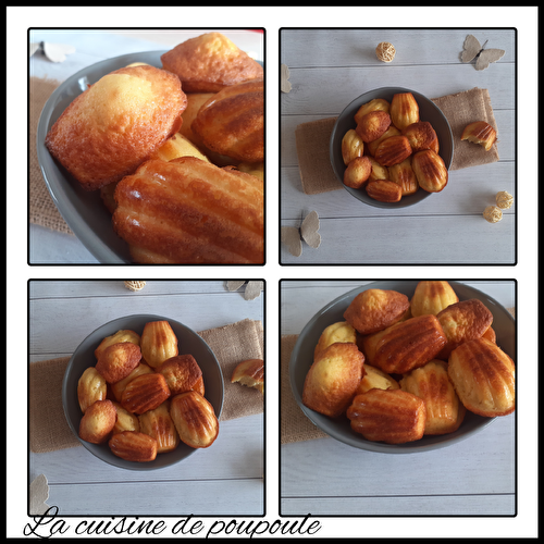 Madeleines savoureuse au citron