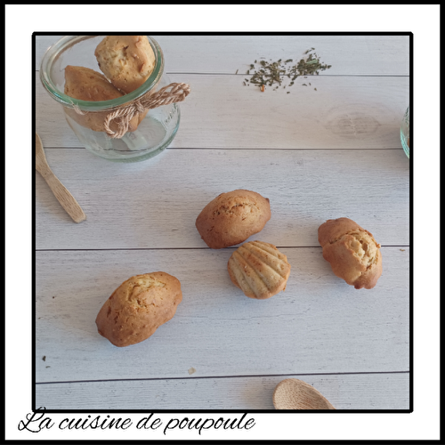 Madeleines spéculoos