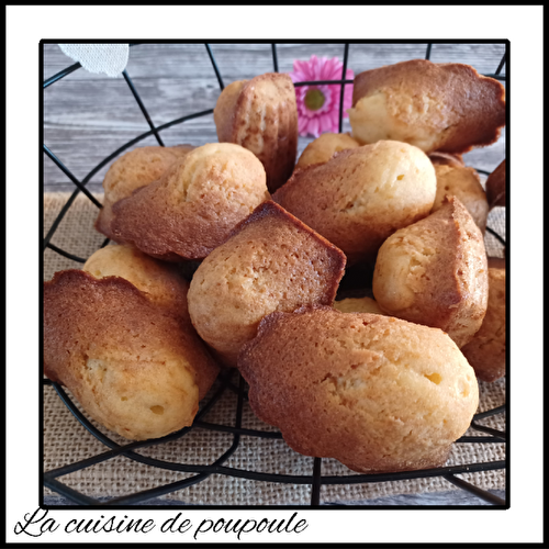 Madeleines au miel et fleur d’oranger