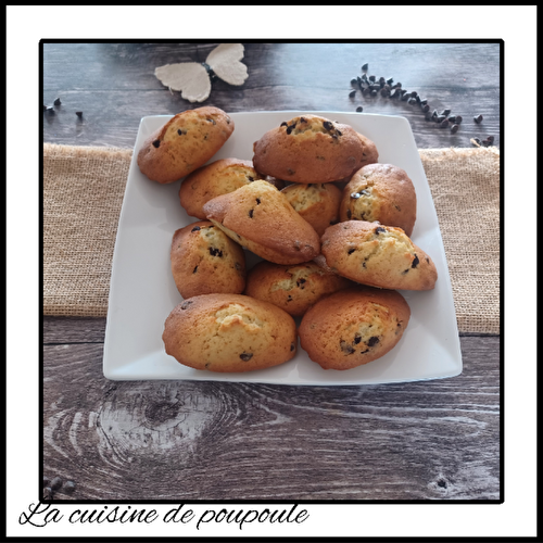 Madeleines aux pépites de chocolat