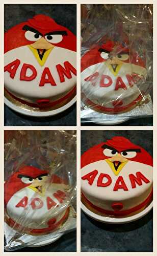 GATEAU ANGRY BIRD ET GANACHE AUX FRUITS EXOTIQUES