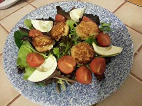 SALADE DE JEUNES POUSSES ET CHEVRE CHAUD