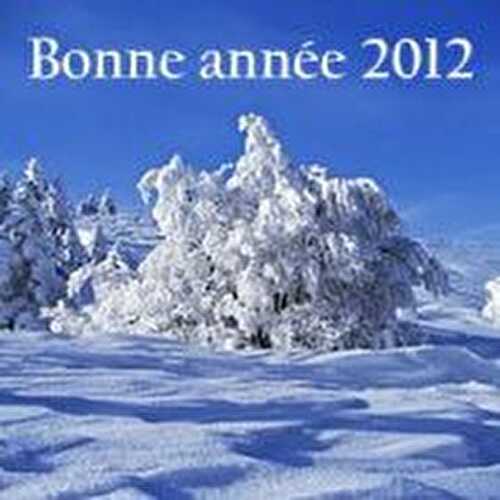 ****** TRES BONNE ANNEE 2012 ******