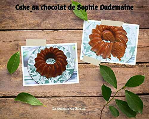 Cake au chocolat de Sophie Dudemaine