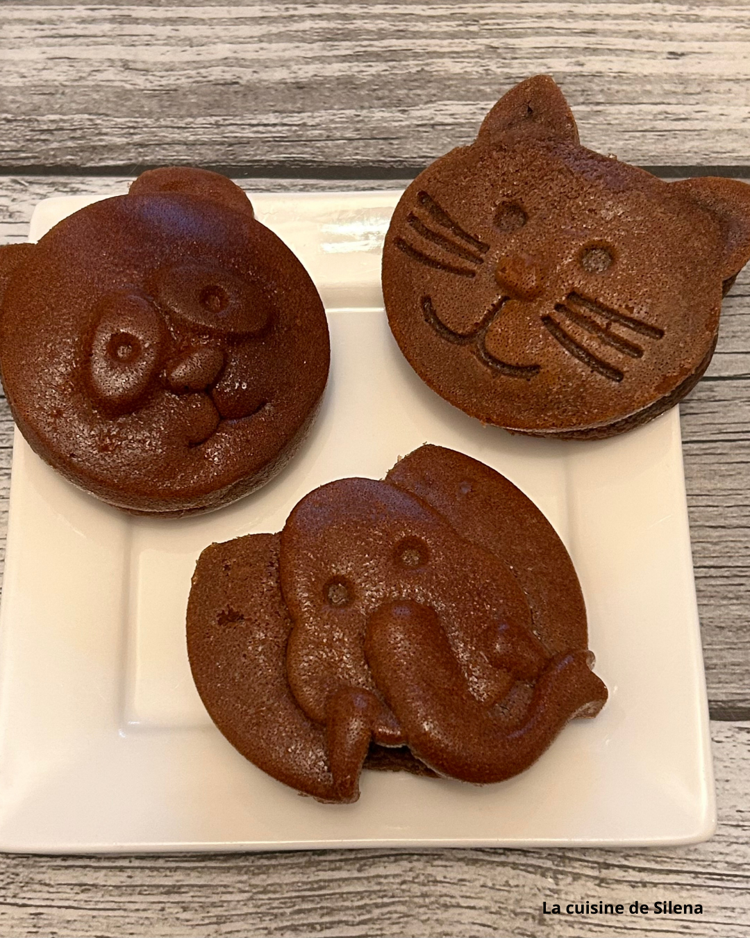 Animaux au Nutella