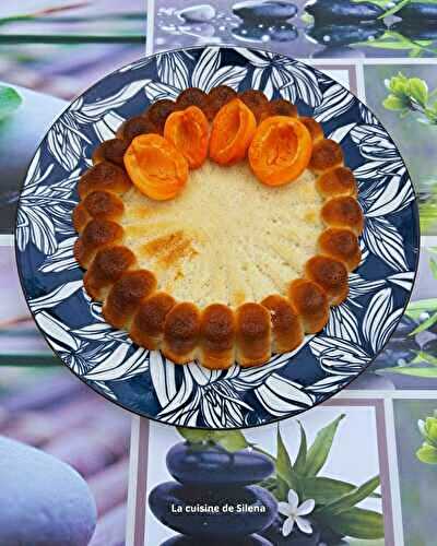 Gâteau léger au fromage blanc et abricots