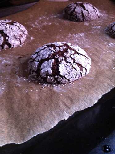 Cookies au chocolat (chocolate cookies)