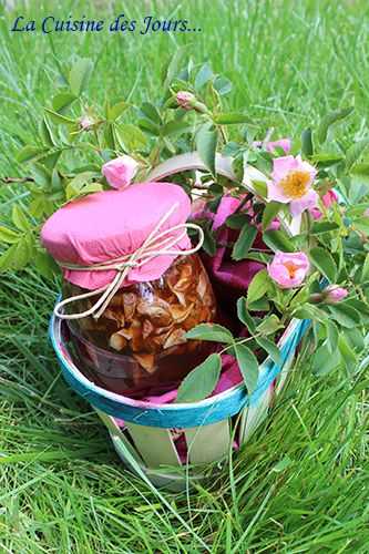 Gelée de Pétales de Fleurs d'Eglantier Express