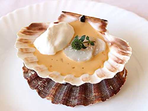 Noix de Saint-Jacques Cuite Attachée à sa Coquille Sauce Corail Citronnée et Sarriette et sa Crème Fouettée au Fumet de Barbes