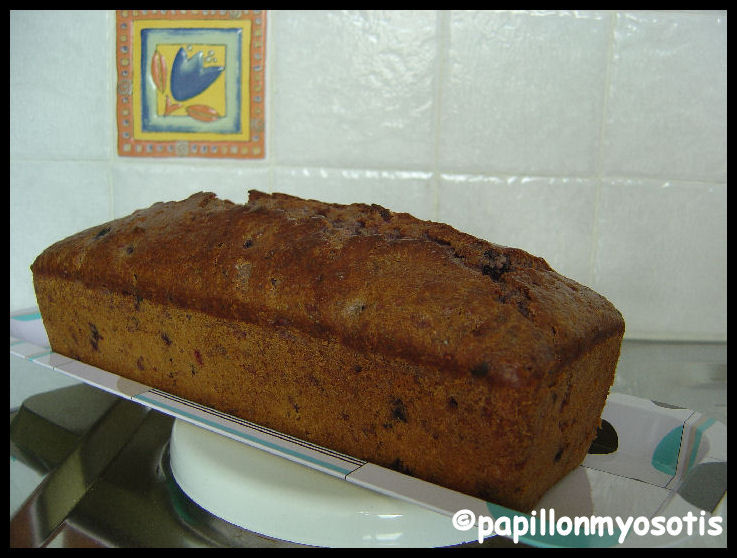 CAKE FRUITS ROUGES, VANILLE ET PAVOT