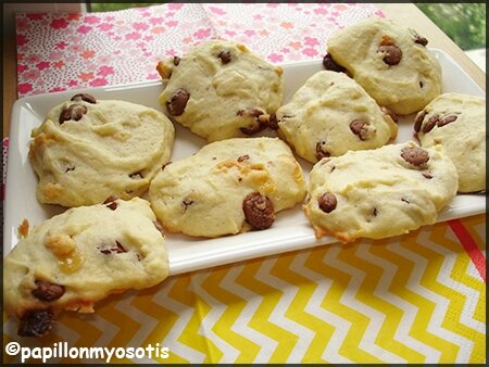 COOKIES AUX PÉPITES DE CHOCOLAT