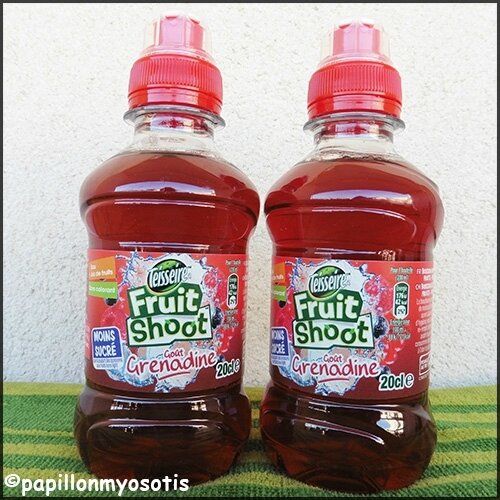 FRUIT SHOOT TEISSEIRE : LA NOUVEAUTÉ A LA GRENADINE [#BOISSON #KIDS #FRUITSHOOT]