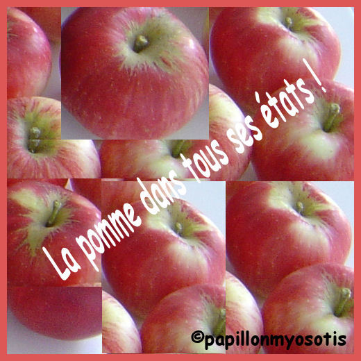 JEU CONCOURS RECETTE : "LA POMME DANS TOUS SES ETATS !" #1 LANCEMENT