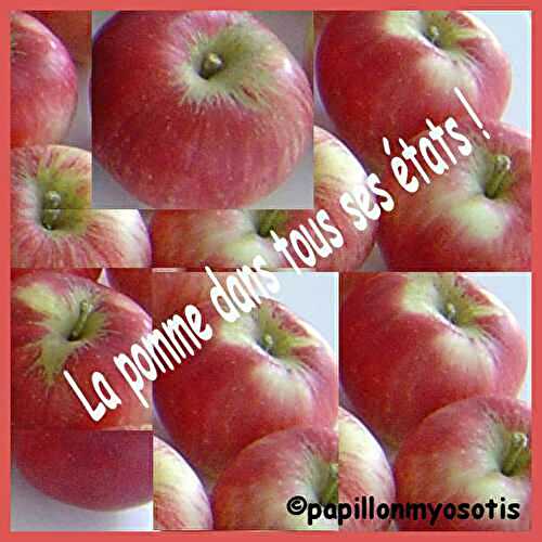 JEU CONCOURS RECETTE : "LA POMME DANS TOUS SES ETATS !" #1 LANCEMENT