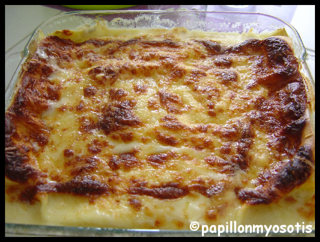 LASAGNES AUX 3 FROMAGES