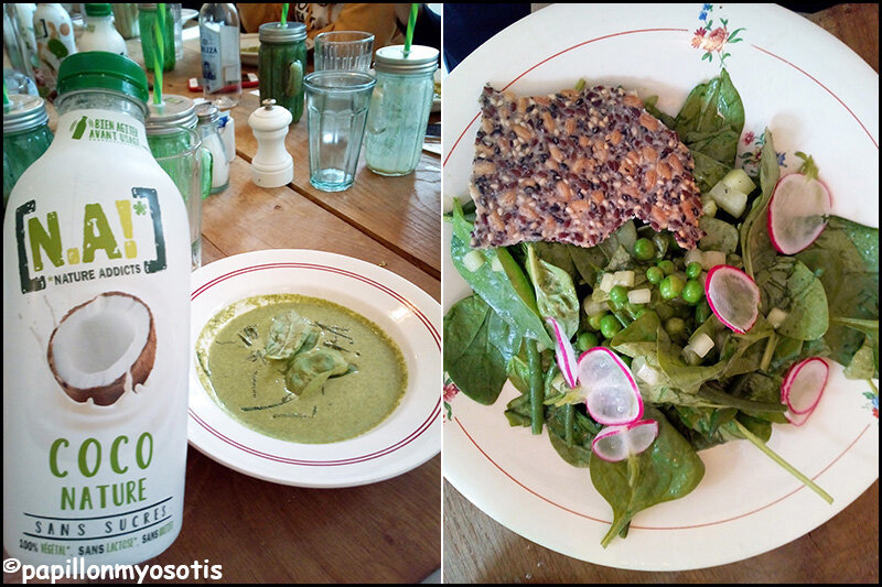 LES BOISSONS VÉGÉTALES [N.A!] NATURE ADDICT [#VEGETARIEN #VEGAN #BOISSONVEGETALE #NATUREADDICT]