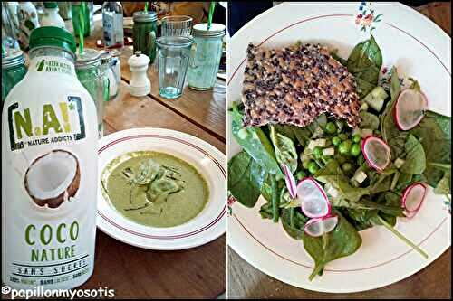 LES BOISSONS VÉGÉTALES [N.A!] NATURE ADDICT [#VEGETARIEN #VEGAN #BOISSONVEGETALE #NATUREADDICT]