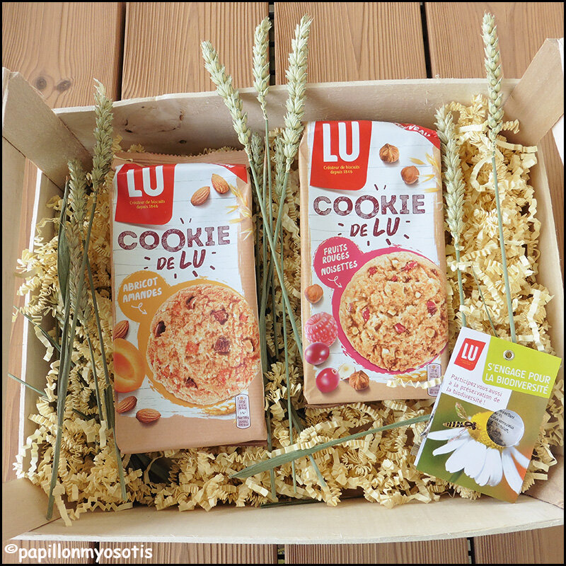 LES COOKIES AUX FRUITS DE LU {CONCOURS INSIDE} [#COOKIES #CONCOURS #COOKIEDELU #JEUCONCOURS #BONPLAN]