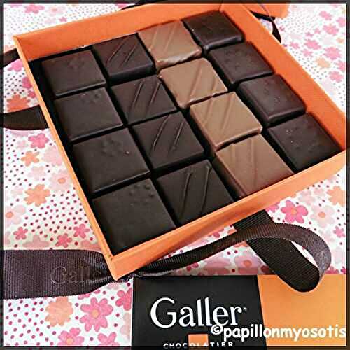 LES NOUVELLES PRALINES DE LA MAISON GALLER [#CHOCOLAT #BELGIQUE #GALLER]