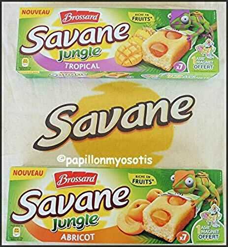 NOUVEAUTÉS SAVANE JUNGLE DE BROSSARD [#GOÛTER #ENFANTS #KIDS]