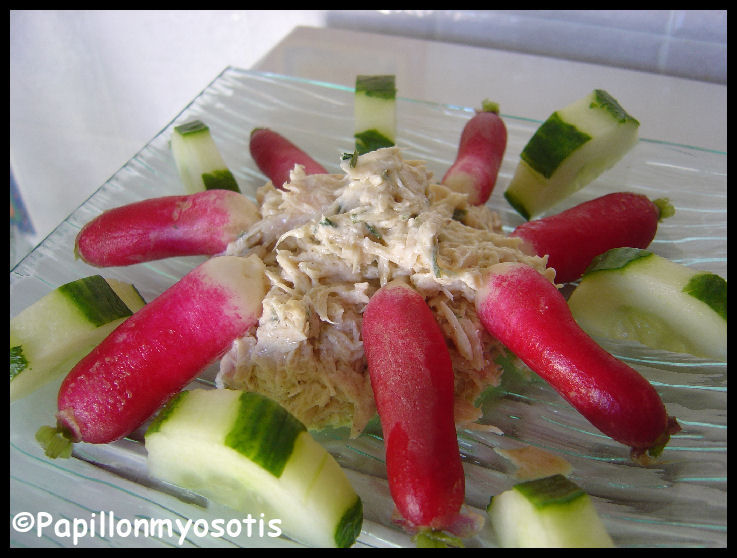 RILLETTES DE THON GERMON AU FROMAGE ET SES PETITS LEGUMES CROQUANTS