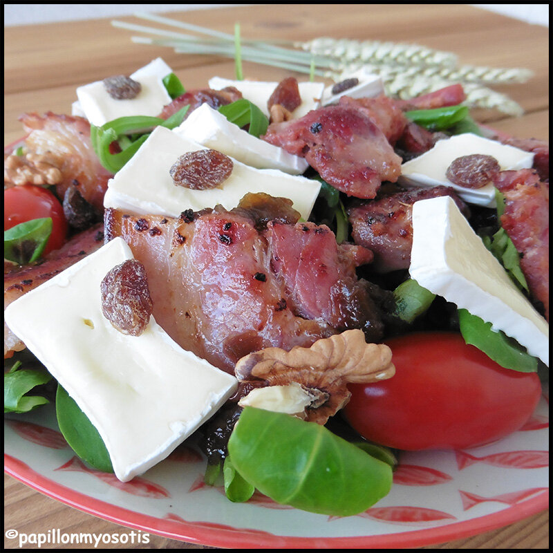 SALADE DE GÉSIERS, POITRINE FUMÉE, MÂCHE ET CAPRICE DES DIEUX [#SALADE #CAPRICEDESDIEUXFR #MINICAPRICE #CHEESE]