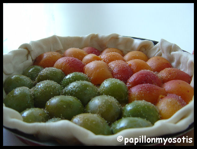 TARTE AUX ABRICOTS ET PRUNES REINES CLAUDES