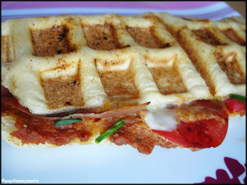 PANINI MOZZARELLA, JAMBON SEC ET TOMATES [#SANDWICH #RECETTE #FAITMAISON #PIQUENIQUE]