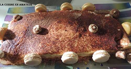 Bûche tiramisu