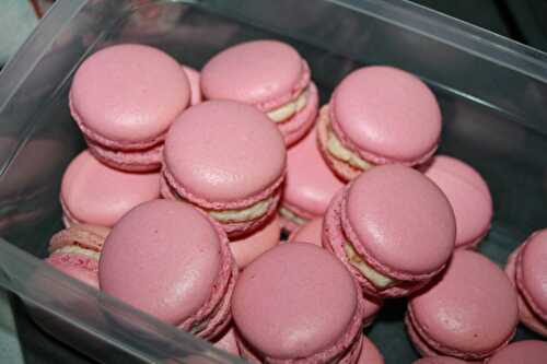 Les Macarons au Saumon