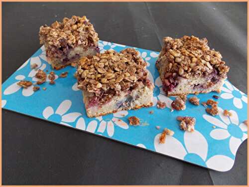 Cake au muesli & aux fruits rouges {Sans lactose}