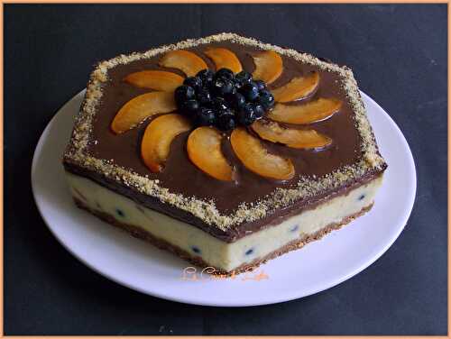Entremet aux myrtilles, abricots & chocolat