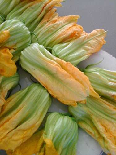 Beignets de fleurs de courgette comme à Nice