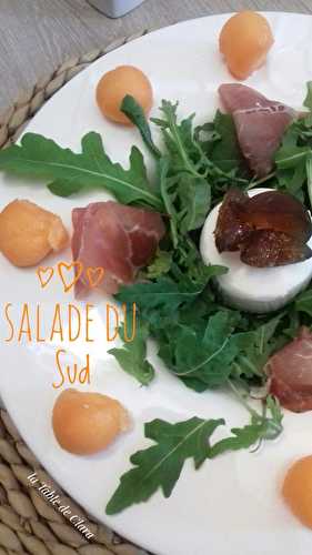 Salade du Sud 