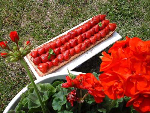 Tarte fraises rhubarbe