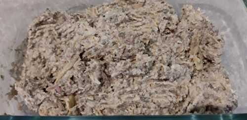 Rillettes de lentilles