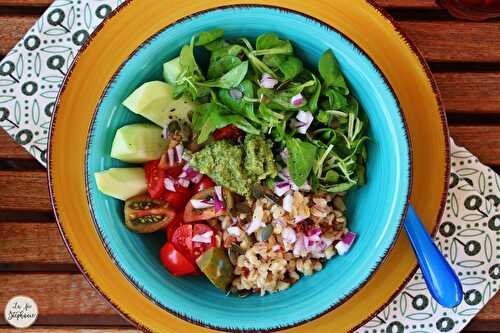 Buddha bowl d'été et son pesto aux graines de chanvre, un super-aliment à découvrir!