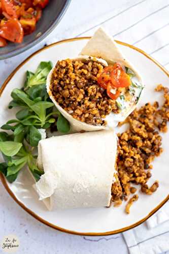 Burritos - comment remplacer la viande?