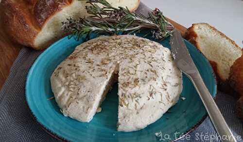 Fromage végétal aux fines herbes, tel un fromage de chèvre frais