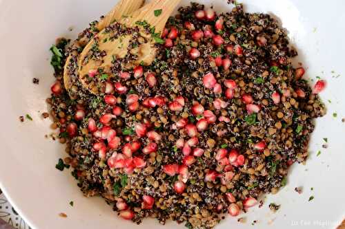 Salade de lentilles, quinoa et grenade du jardin! Recette riche en protéines végétales - La fée Stéphanie